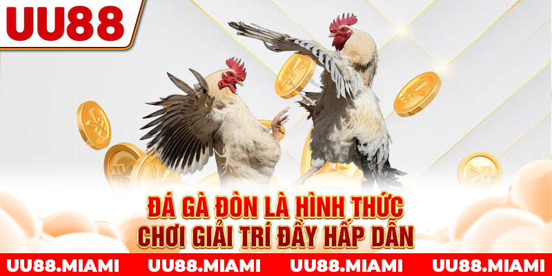 Đá gà đòn là hình thức chơi giải trí đầy hấp dẫn