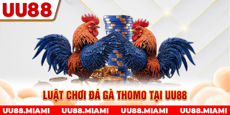 Luật chơi đá gà Thomo tại UU88